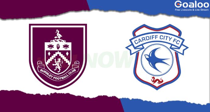 England FA Cup---Aston Villa VS Cardiff City