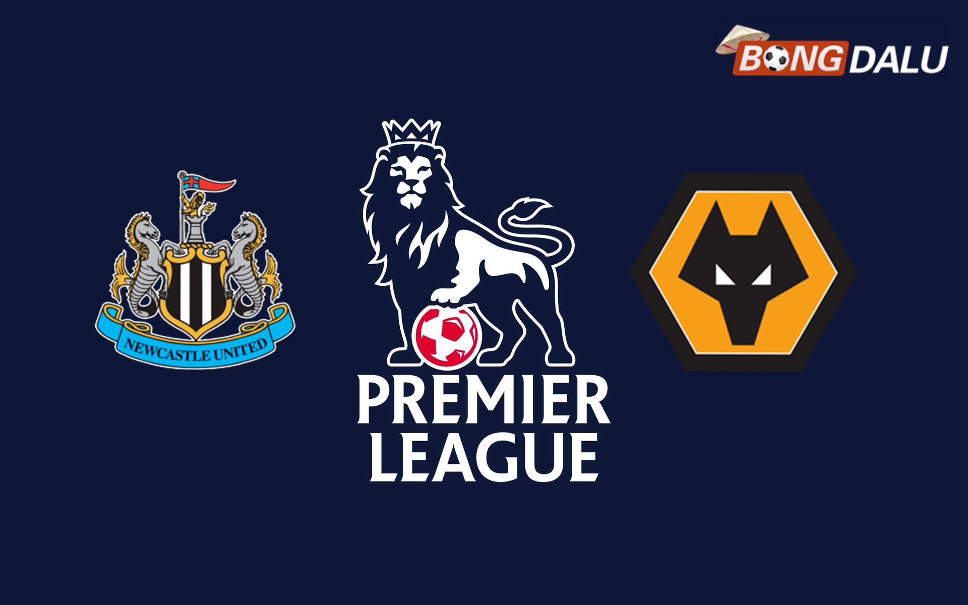 Nhận định Newcastle United VS Wolves 02:30 16/01/2025 Ngoại Hạng Anh