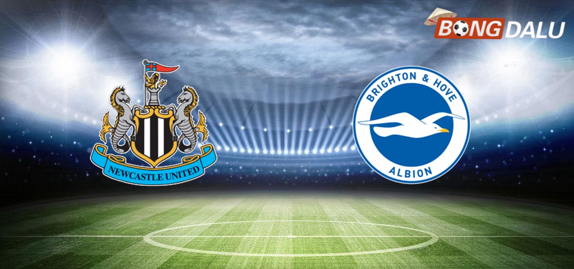 Nhận định Newcastle United VS Brighton Hove Albion 20:45 02/03/2025 Cúp FA