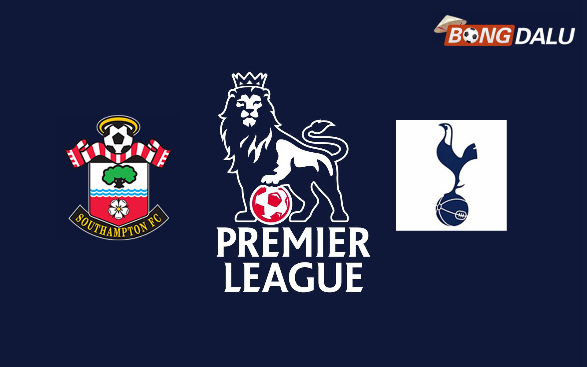 ​Nhận định Southampton VS Tottenham Hotspur, 02:00 16/12/2024 Ngoại Hạng Anh