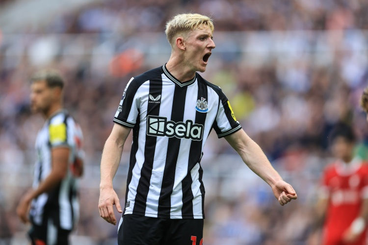 Phóng viên: Nguồn tin từ Newcastle phủ nhận Gordon đã đạt thỏa thuận điều khoản cá nhân với Bayer