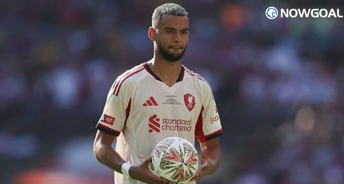 Cody Gakpo Reveals Bayern Munich Interest Before Luis Diaz Transfer Decision