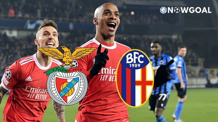 UEFA Champions League - Benfica VS Bologna Prediciton