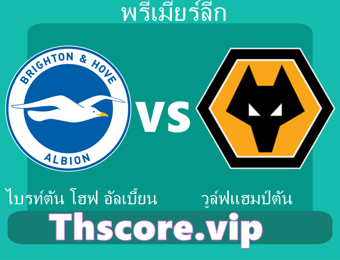 วิเคราะห์บอล：ไบรท์ตัน โฮฟ อัลเบี้ยน VS วูล์ฟแฮมป์ตัน