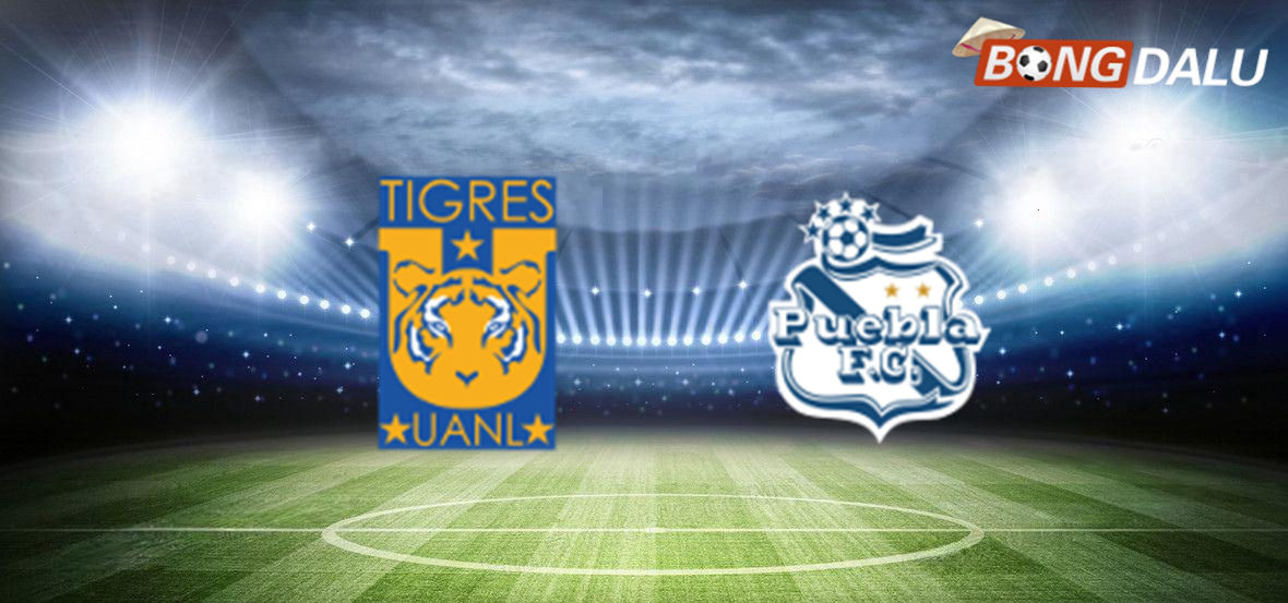 Tigres UANL VS Puebla 10:00 09/08/2025 Mexico Liga MX