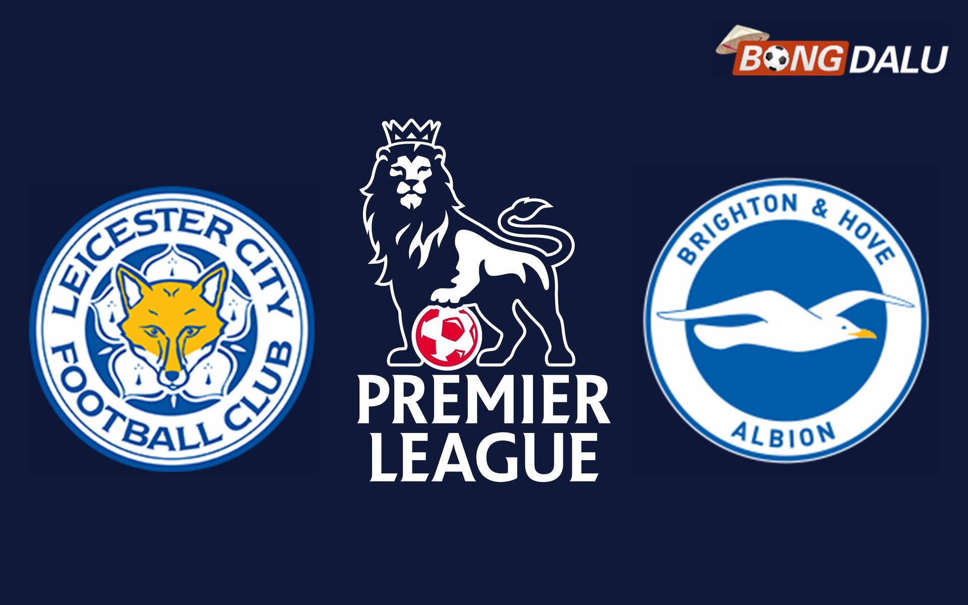 Nhận định Leicester City VS Brighton Hove Albion| 21:00 08/12/2024 Ngoại Hạng Anh