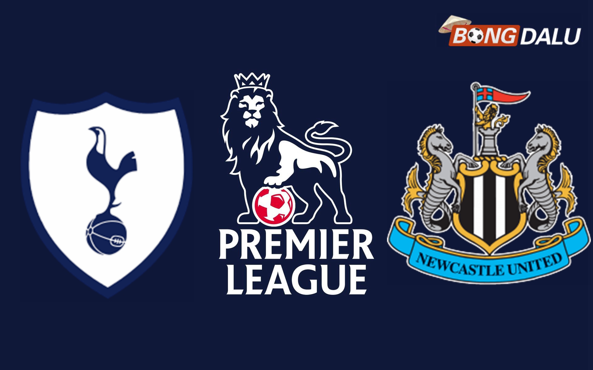 ​Nhận định Tottenham Hotspur VS Newcastle United, 19:30 04/01/2025 Ngoại Hạng Anh
