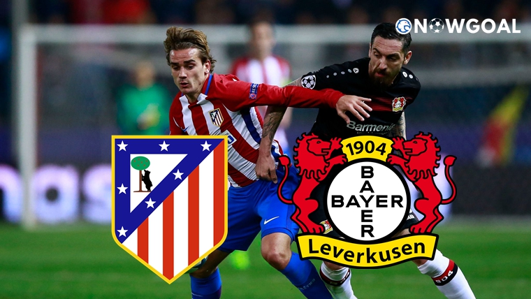 UEFA Champions League - Atletico Madrid VS Bayer Leverkusen Preview