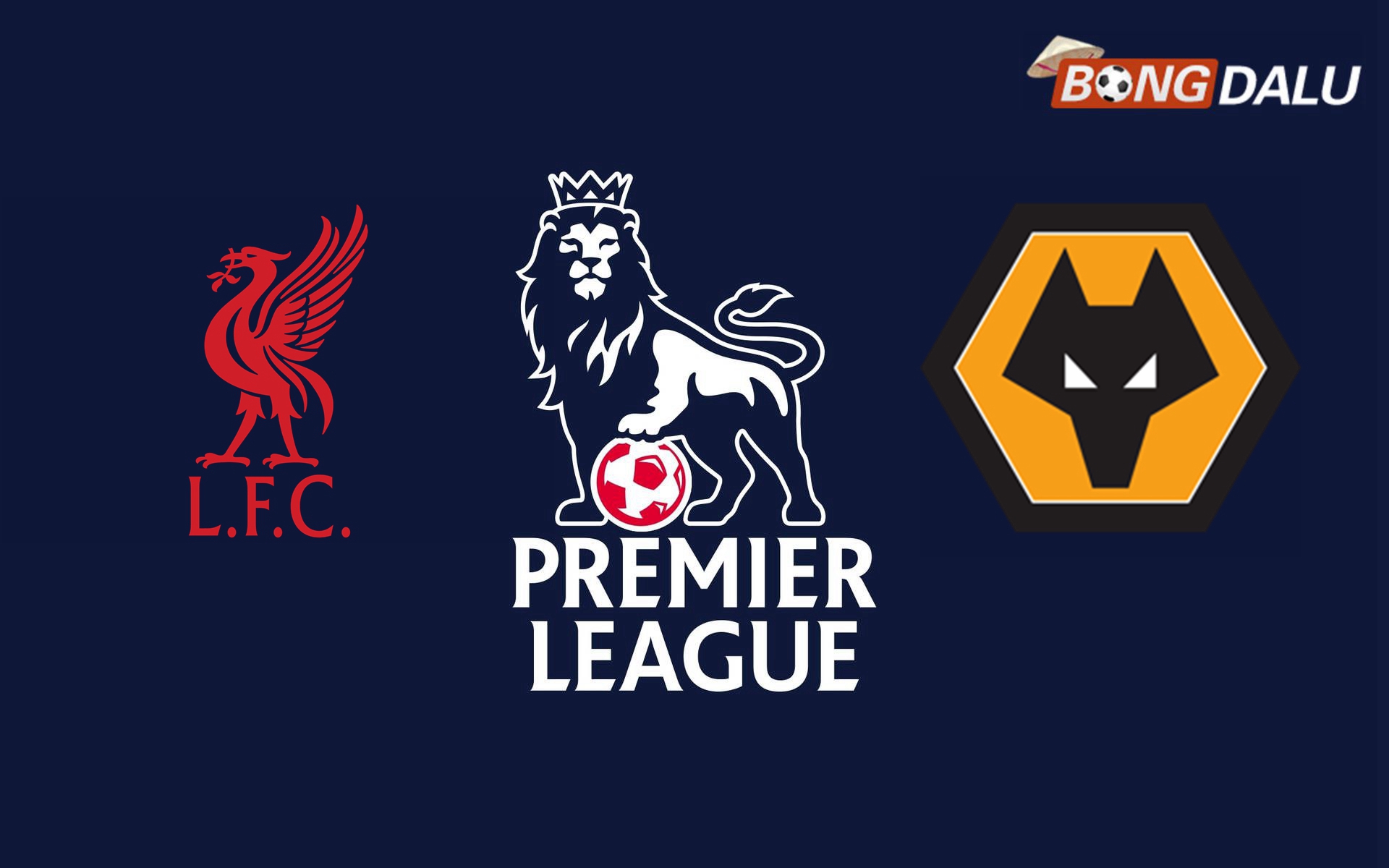 Nhận định Liverpool VS Wolves, 21:00 16/02/2025 Ngoại Hạng Anh