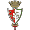 Lusitano Evora