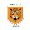Nữ Hull City
