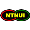 NTNUI