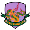 Kasetsart FC
