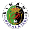 Nữ Dinamo Guadalajara