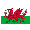 Nữ Wales
