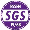 Nữ SG Essen-Schonebeck