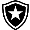 Botafogo RJ U20 (W)