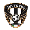 Canberra Juventus
