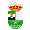 Puebla Calzada