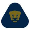 Pumas U20