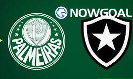 Palmeiras VS Botafogo RJ