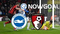 English Premier League - Brighton Hove Albion VS AFC Bournemouth Prediction