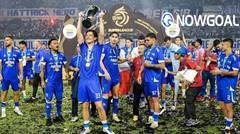 Persib Makes History with Third Straight League Title
