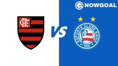 Copa do Brasil - Flamengo VS Bahia Prediction
