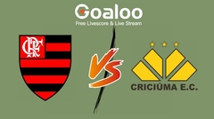 Flamengo vs Criciuma Prediction 21 July 2024