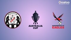 11 June - Australia Cup Showdown: Eagles Soar Over Bears in Head-to-Head