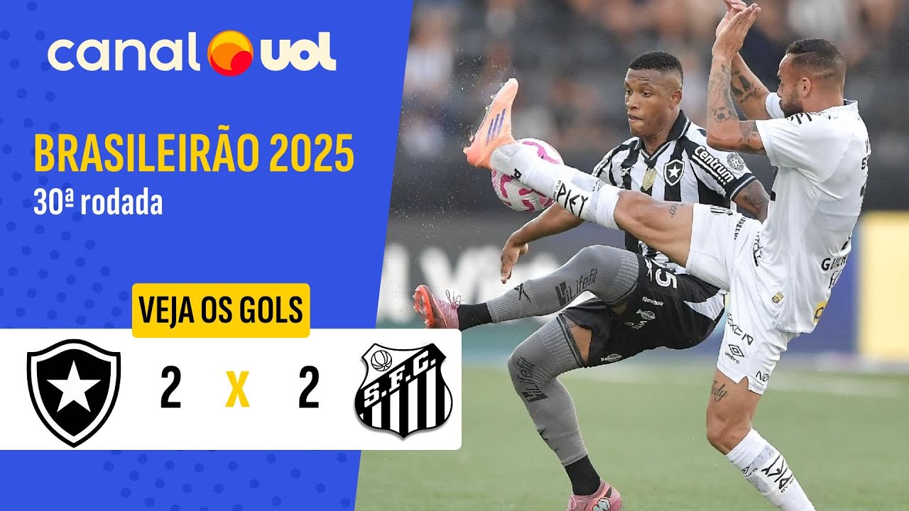Brazil Serie A Botafogo RJ 2-2 Santos Highlights,Hot Video - Goaloo