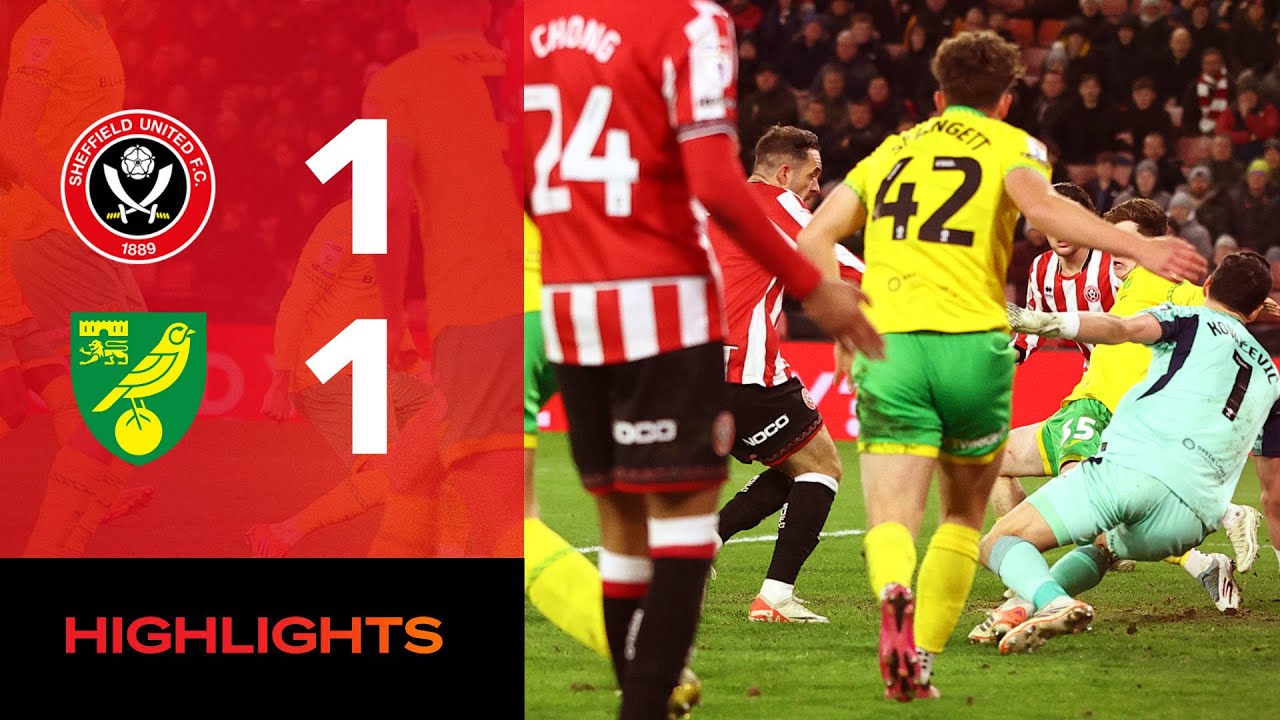 England Championship Sheffield United 1-1 Norwich City Highlights,Hot Video - Goaloo