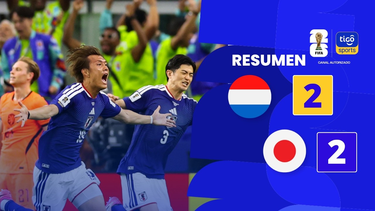 6.15-네덜란드 2-2 일본丨경기 하이라이트 -월드컵