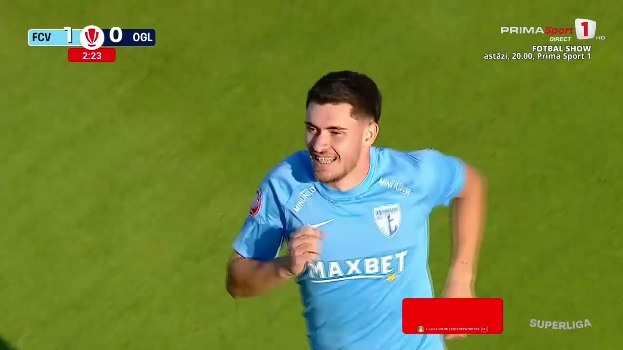 Romania Liga I FC Voluntari 2-2 SC Otelul Galati Highlights,Hot Video - Goaloo