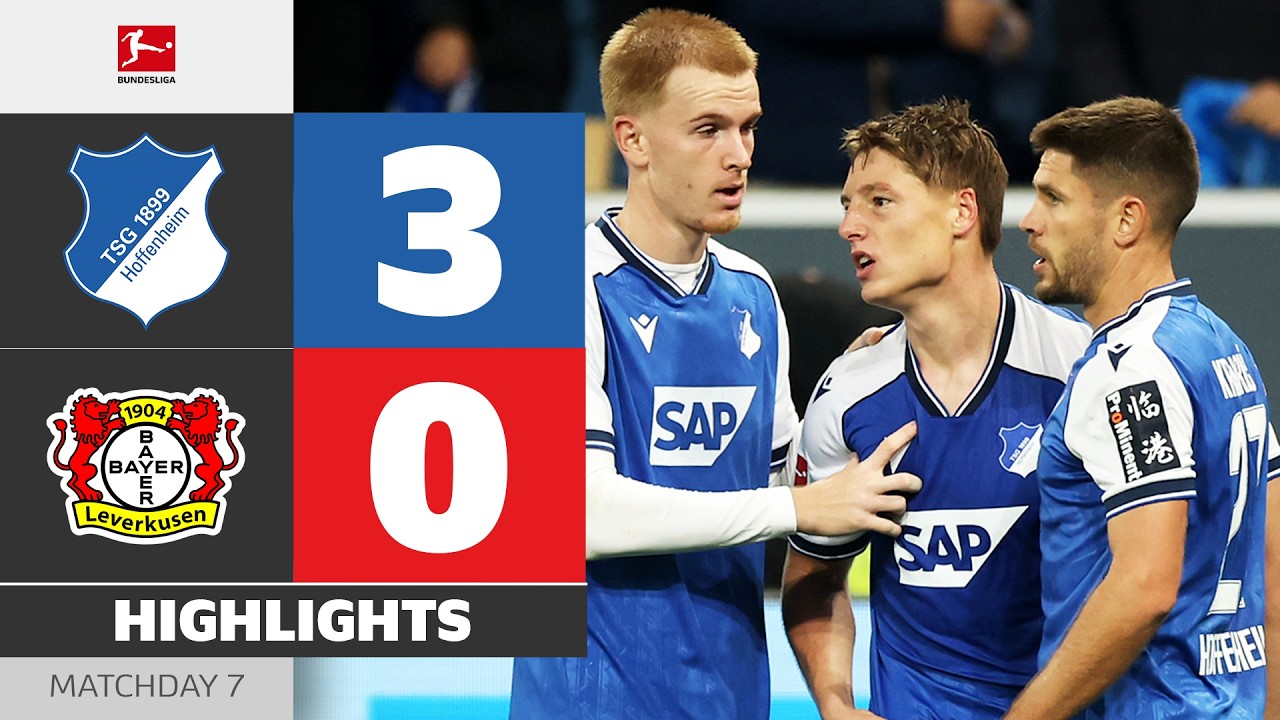 German Bundesliga TSG Hoffenheim 3-0 Bayer Leverkusen Highlights,Hot Video - Goaloo