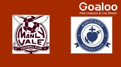 Manly Vale vs Mascot Kings FC Prediction 19 March 2025