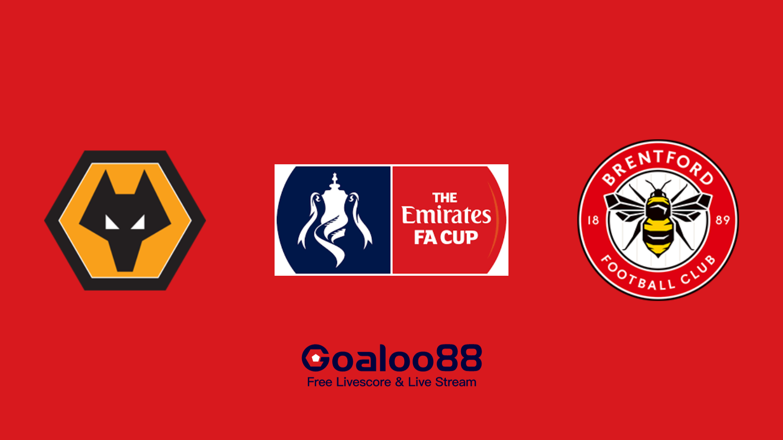 Wolves VS Brentford Prediction England FA Cup