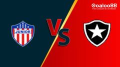 Atletico Junior Barranquilla VS Botafogo RJ Prediction Copa Libertadores