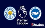 Leicester City VS Brighton Hove Albion English Premier League prediction