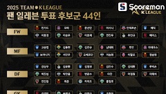 뉴캐슬과 맞대결 팀 K리그 팬 일레븐 후보 44인 공개...15일 결과 발표