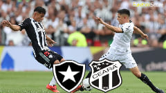 Palpite Botafogo VS Ceará