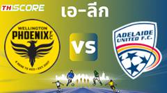 วิเคราะห์บอล เวลลิงตัน ฟีนิกซ์ VS อดิไลเด้ ยูไนเต็ด