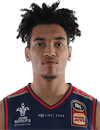 Bijan Johnson