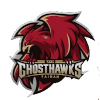 Tainan TSG GhostHawk