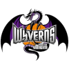 Yamagata Wyverns
