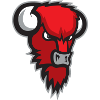 Nilan Bisons