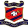 Bord Gais Neptune Co