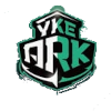 Yankey Ark Professio