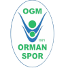 Ormanspor Women's
