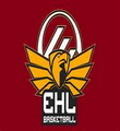VolinBasket Lutsk